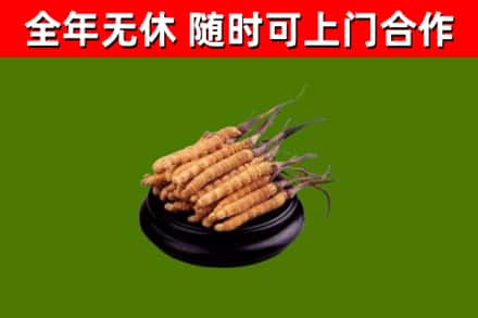 抚州市烟酒回收冬虫夏草.jpg